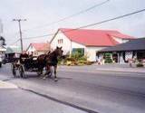 image of Amish women with horse and cart at stop sign