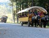 photo of a horse drawn wagon train full of sightseers touring the PA Grand Canyon 