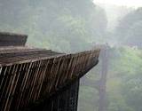 photo of the destruction area of the Kinzua Viaduct at Kinzua Bridge State Park