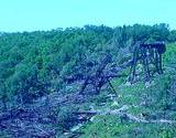 photo of another view of the destruction of Kinzua Viaduct at Kinzua Bridge State Park