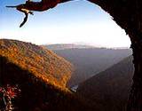 photo of view of Pine Creek forest at PA Grand Canyon