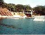 photo of Raystown Ray swimming under water