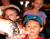 Penn State Festival children checking out a scorpion