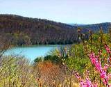 View of forest and lake at Shawnee State Park