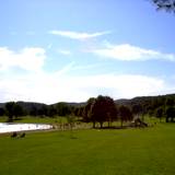 photo of the beach area in Bald Eagle State Park