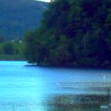 View of Canoe Creek Lake