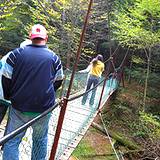 photo of people walking over a suspended bridge at Cooks Forest PA State Park