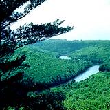 photo of view from Cooks Forest of the Clarion River