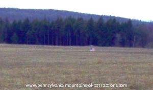 The crash site view of Flight 93 Memorial