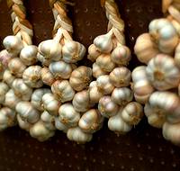 photo of a display of braided garlic that looks like a work of art at the Pocono Garlic Festival