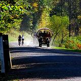 photo of horse drawn wagon and bikes on path to view the PA Grand Canyon