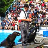 photo of seal show at Hershey Park