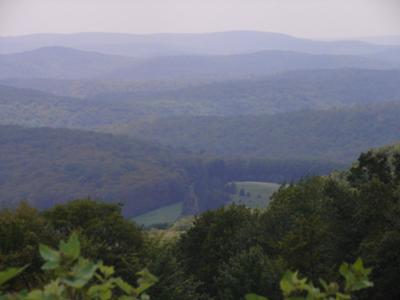 Alleghany Mts.