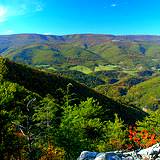 Elk hunting in pennsylvania lottery