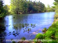 A natural lake at Bear Meadows Natural Area photo taken on Mystery Tour