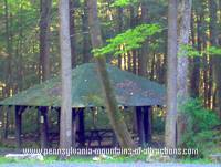 photo of a rustic picnic area tucked away in the Bear Meadows area on the Mystery Tour