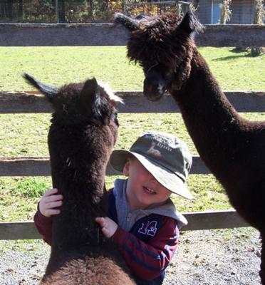 Andrew, Apache Moon & Autumn