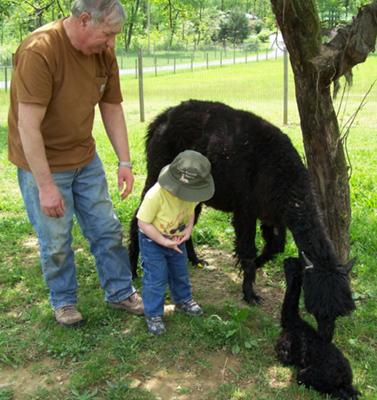 Andy, Pap, Opal & Jasper