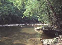 PA State Park Trough Creek 