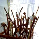 Boalsburg's The People Choice Festival crafts tent selling walking sticks