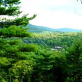 View of Shawnee State Park forest