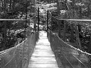 Suspension bridge at Trough Creek State Park