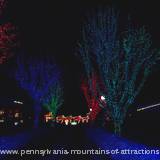 lighted trees at Lakemont Park's Holiday Lights on the Lake