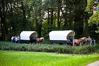 photo of a caravan of Appalachian Wagon Train parked in a meadow