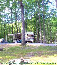 camping site in PA State Parks