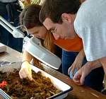 Visitors searching in dirt for insects