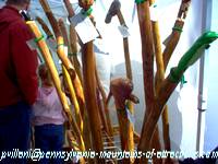 photo of handmade walking sticks at Hartslog Day festival