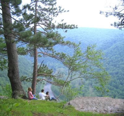 Morris PA is only 12 miles from Wellsboro, so one could visit the event & the PA Grand Canyon in one full & exciting day!(a.k.a. PA Gorge)