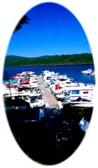 view of marina at Raystown Lake