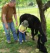 Andy, Pap, Opal & Jasper